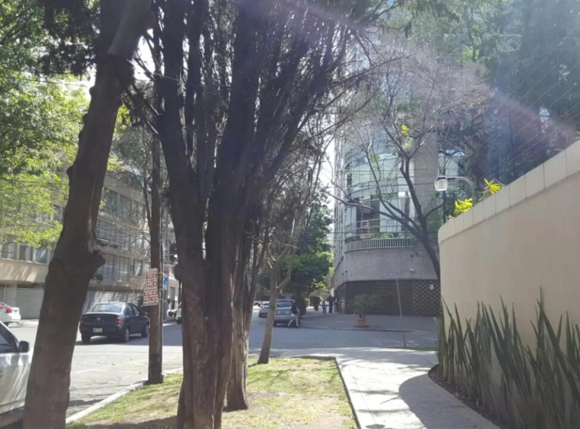 メキシコシティMi Casa #1 At Polanco'S Most Exclusive Areaアパートメント エクステリア 写真